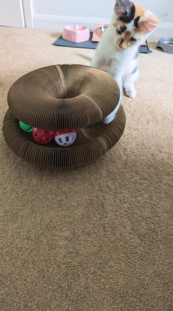 Kitty Kurlz review from Patricia S.