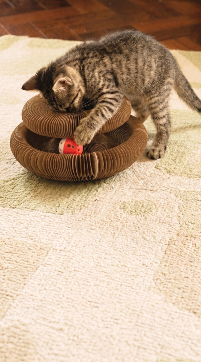 Kitty Kurlz review from Susan M.
