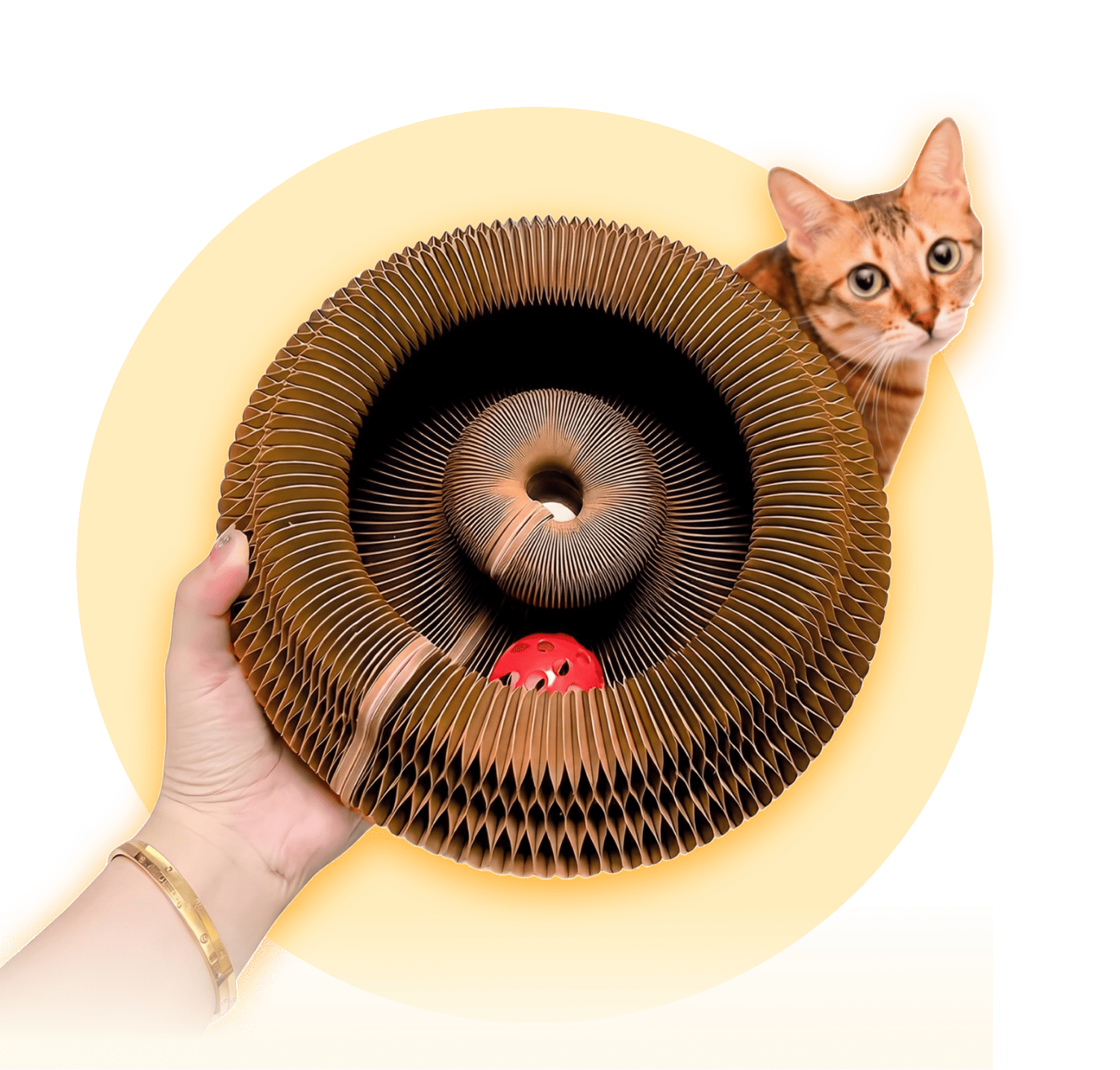 Kitty Kurlz