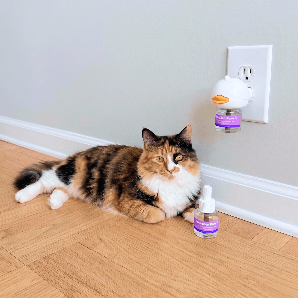 NekoZen Pure diffuser with cat