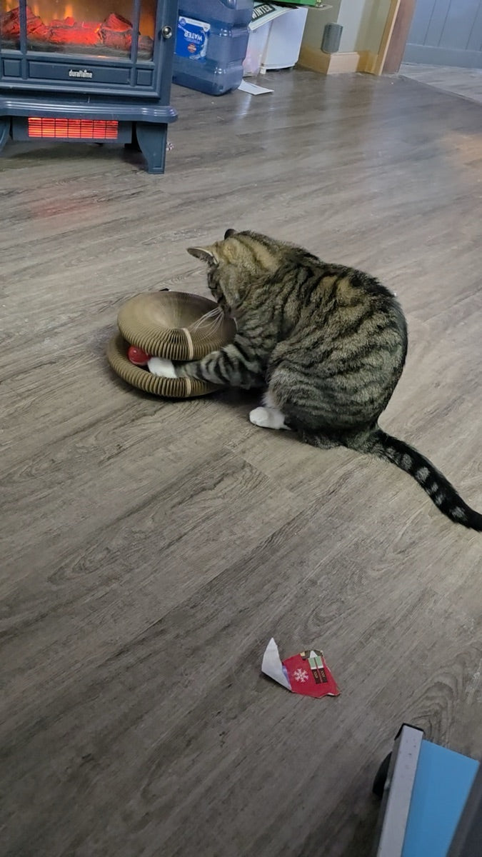Kitty Kurlz review from Yolanda M.