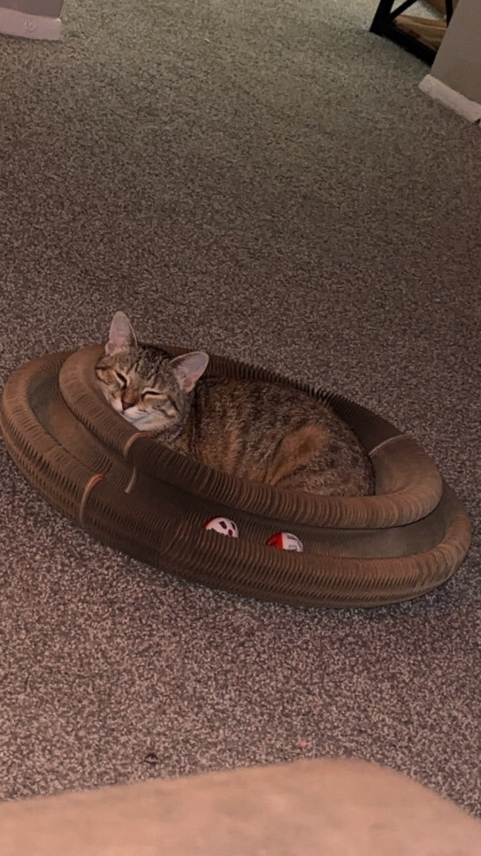 Kitty Kurlz review from Cassidy F.