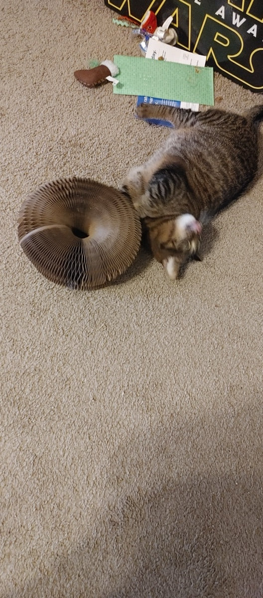 Kitty Kurlz review from Marg D.