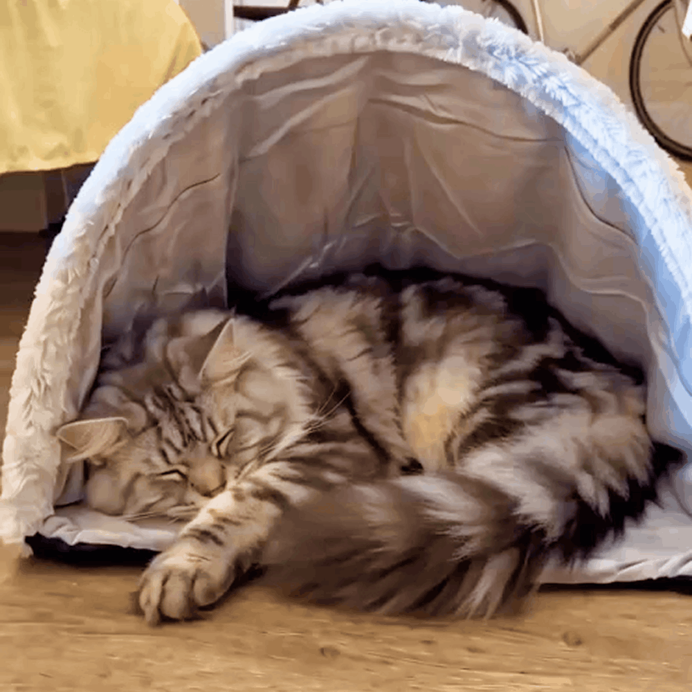 Deep Warmth