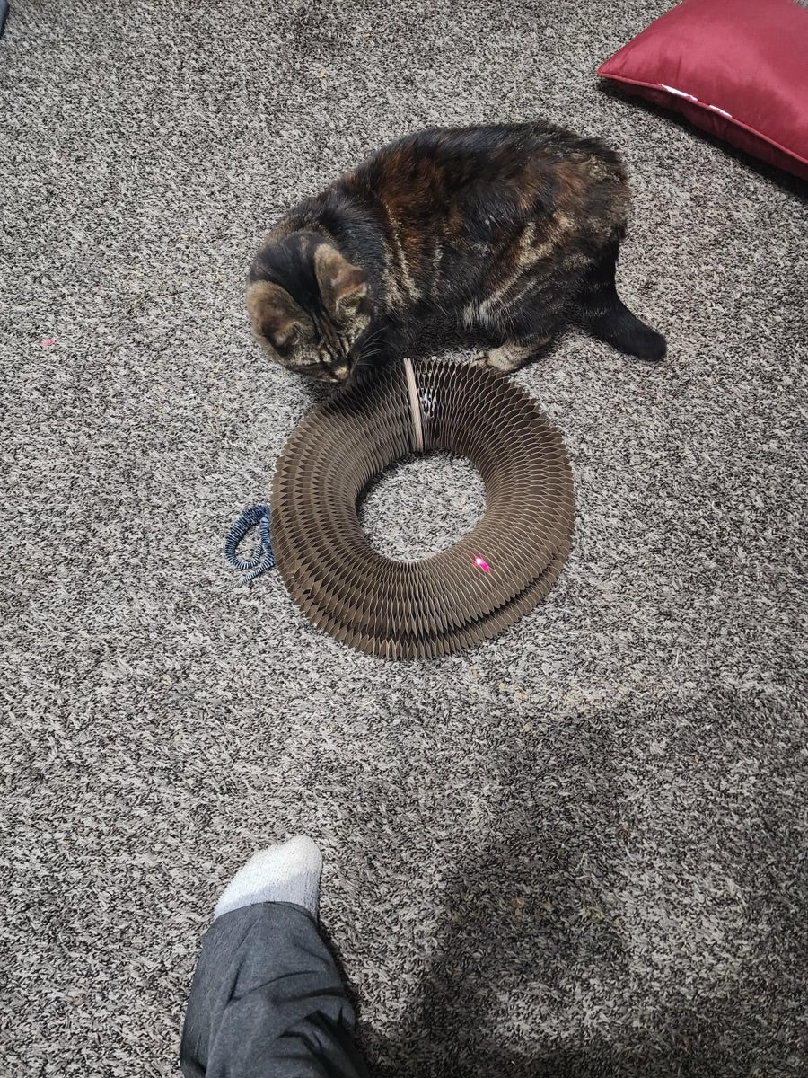 Kitty Kurlz review from Zia N.