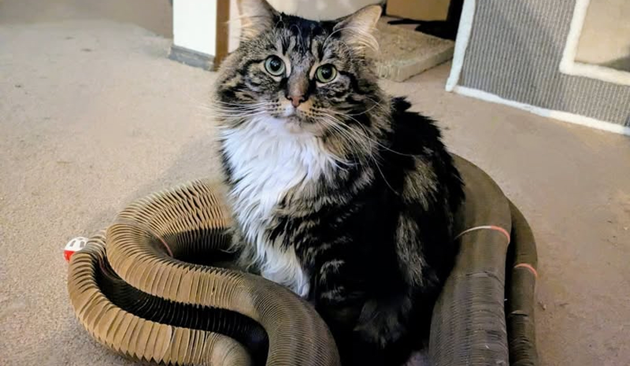 Jason's review photo