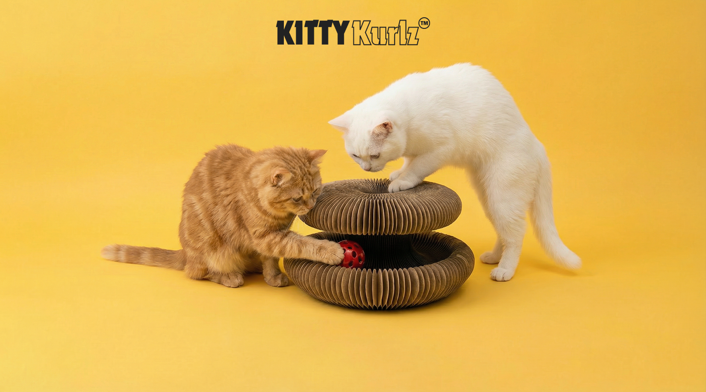 Kitty Kurlz